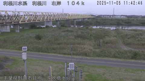 tonme2025110512_image