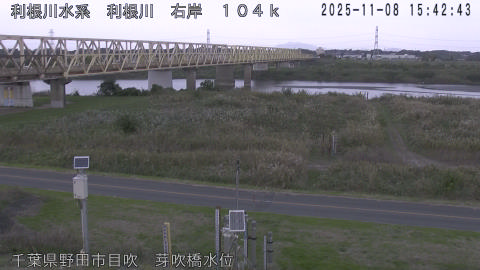 tonme2025110816_image