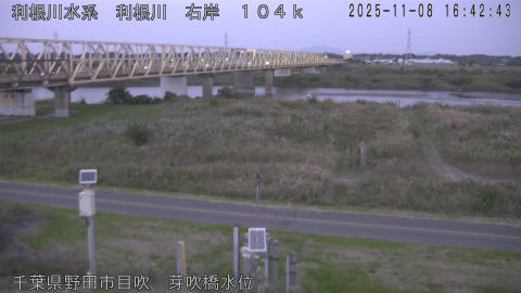 tonme2025110817_image