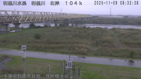 tonme2025110909_image