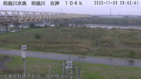 tonme2025110910_image