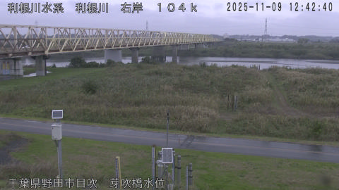 tonme2025110913_image