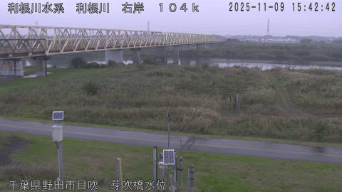 tonme2025110916_image