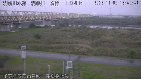 tonme2025110917_image