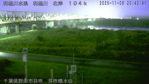 tonme2025110921_image