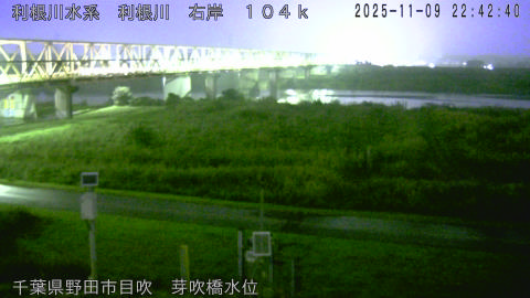 tonme2025110923_image