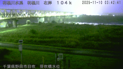 tonme2025111004_image