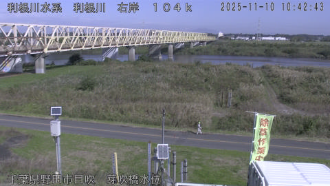 tonme2025111011_image