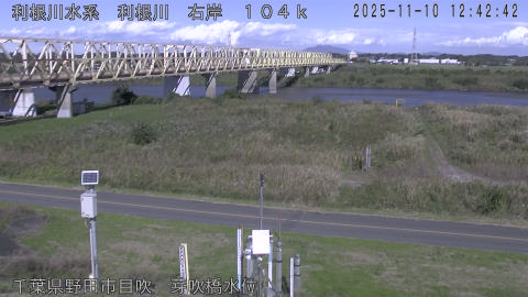 tonme2025111013_image