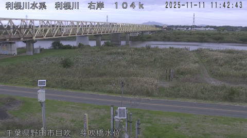 tonme2025111112_image