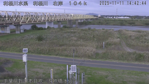 tonme2025111115_image