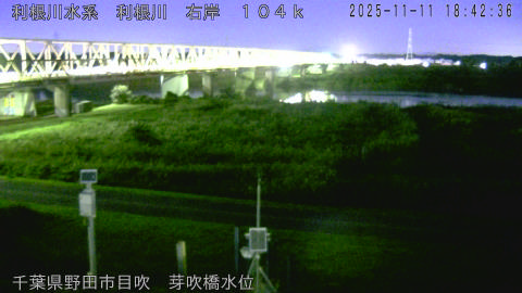 tonme2025111119_image