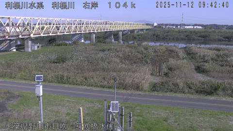 tonme2025111210_image