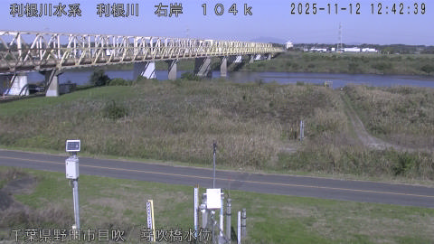 tonme2025111213_image