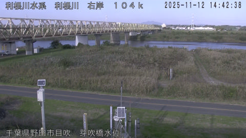 tonme2025111215_image