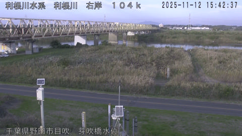 tonme2025111216_image