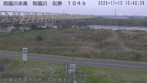 tonme2025111311_image