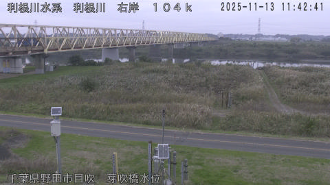 tonme2025111312_image