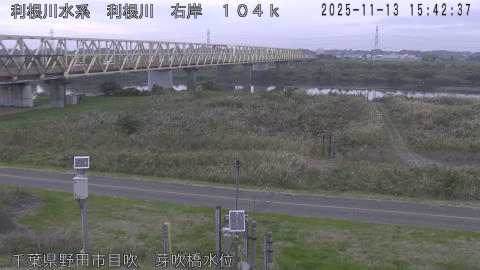 tonme2025111316_image