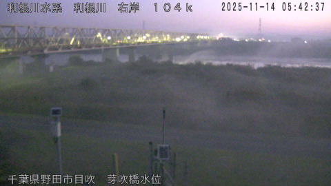 tonme2025111406_image