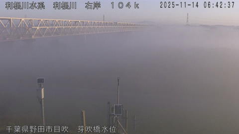 tonme2025111407_image