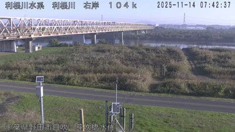 tonme2025111408_image