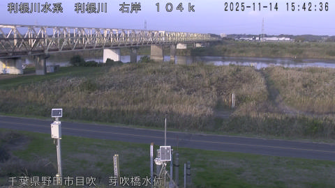 tonme2025111416_image