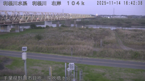 tonme2025111417_image