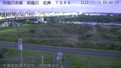 tonme2025111506_image