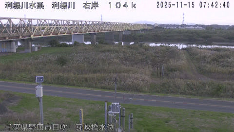 tonme2025111508_image