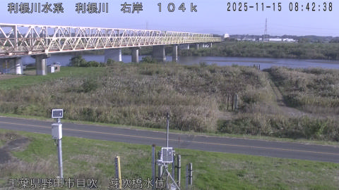 tonme2025111509_image