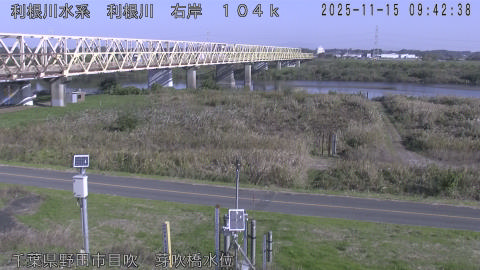 tonme2025111510_image