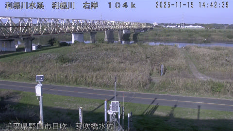 tonme2025111515_image