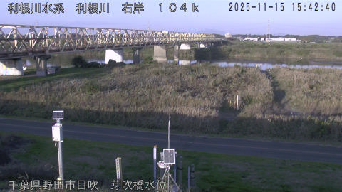 tonme2025111516_image