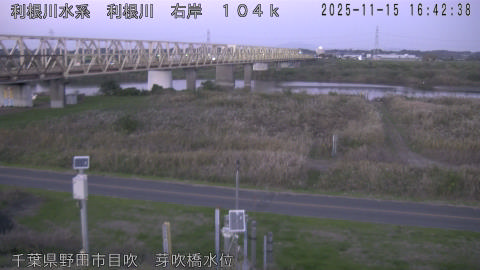 tonme2025111517_image