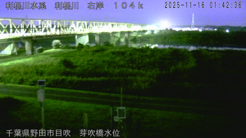 tonme2025111602_image