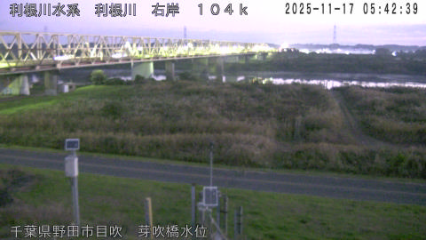 tonme2025111706_image