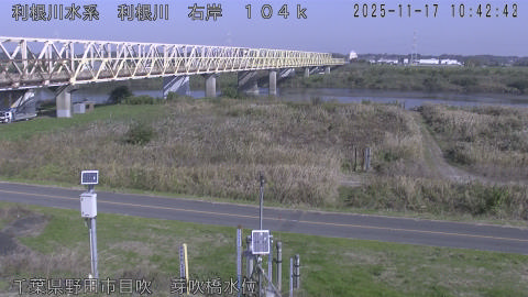 tonme2025111711_image