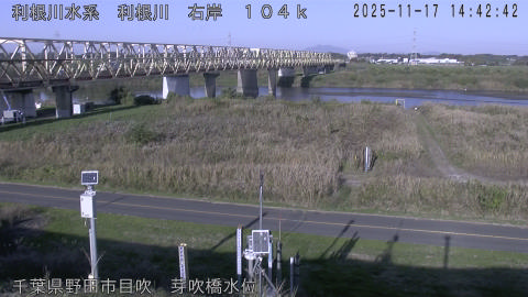 tonme2025111715_image