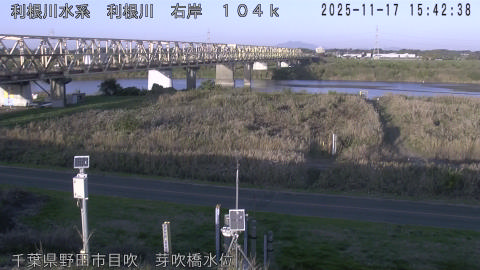 tonme2025111716_image