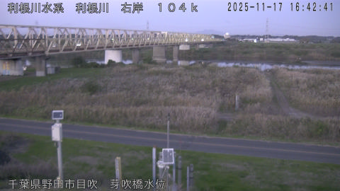 tonme2025111717_image