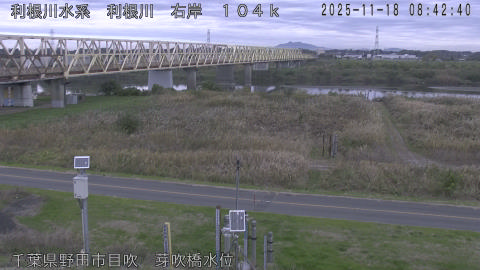 tonme2025111809_image