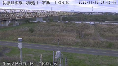 tonme2025111810_image