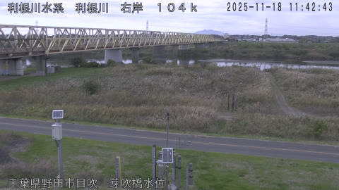 tonme2025111812_image