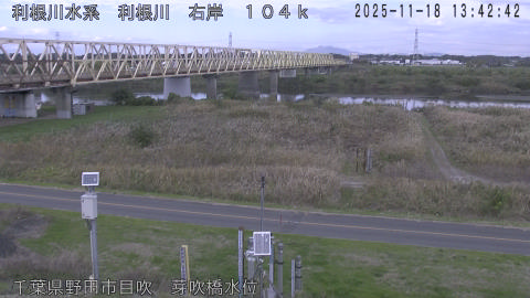 tonme2025111814_image