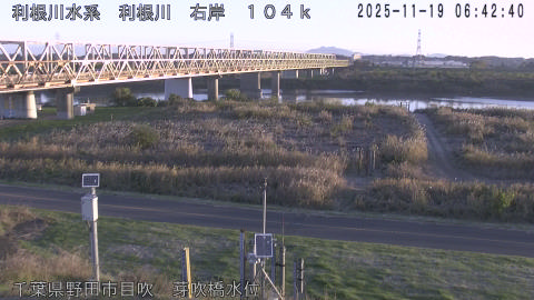 tonme2025111907_image