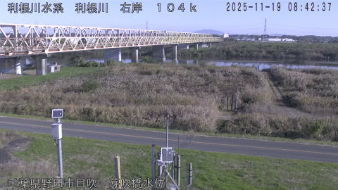 tonme2025111909_image