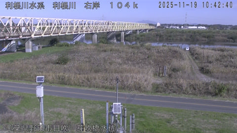 tonme2025111911_image