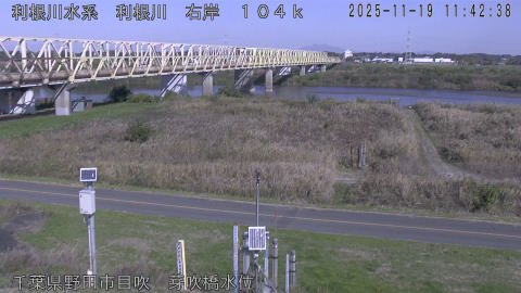 tonme2025111912_image