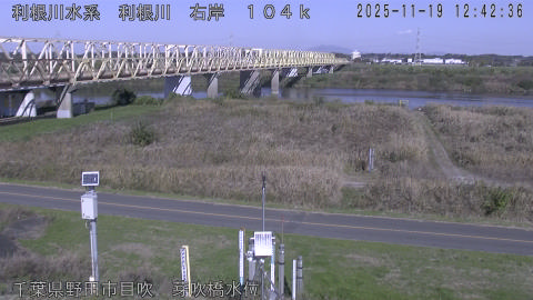 tonme2025111913_image